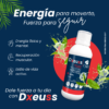 Dxeuss potencia y energia