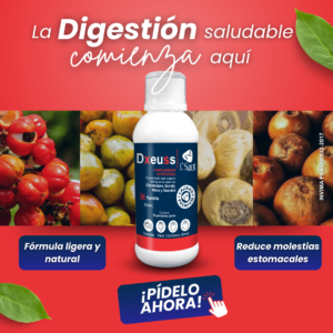 Dxeuss potencia y energia