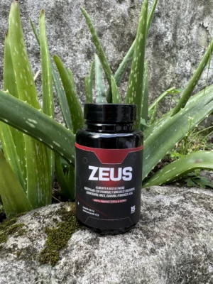 ZEUS